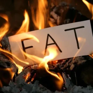 البروتين وحرق الدهون